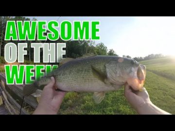 Awesome of the Week: Fishing huge fish! [September 2017]