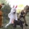 BEST OF PRANKS 2015 (REMI GAILLARD)
