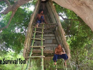 Build Double Storey Tree House