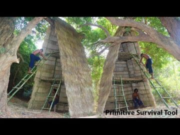 Build three-storey Tree house​ at Jungle