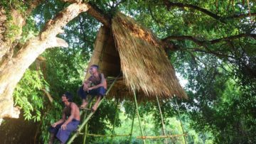 Build Tree house with bamboo