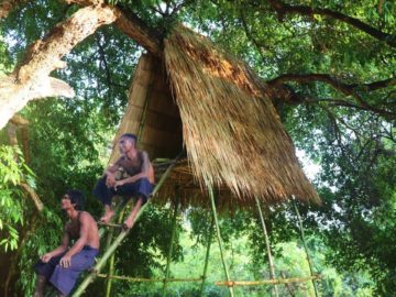 Build Tree house with bamboo