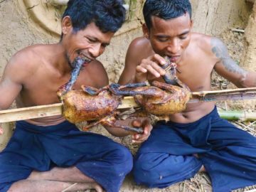 Catch two water duck in river by hand and cook in forest