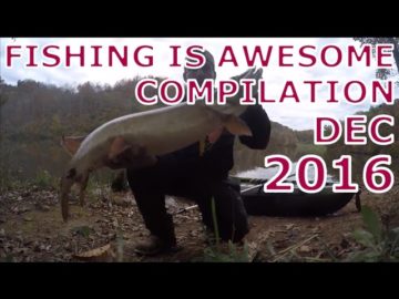 Fishing Is Awesome December 2016