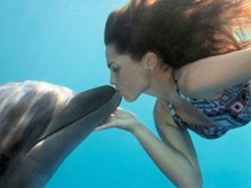 Ocean Life ? Marine Animal Videos Compilation (2018) Animales Marinos Video Recopilación