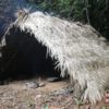 Primitive Technology: A-frame hut