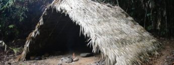Primitive Technology: A-frame hut