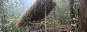 Primitive Technology: Bed Shed