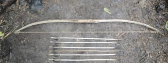 Primitive Technology: Bow and Arrow