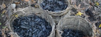 Primitive Technology: Charcoal