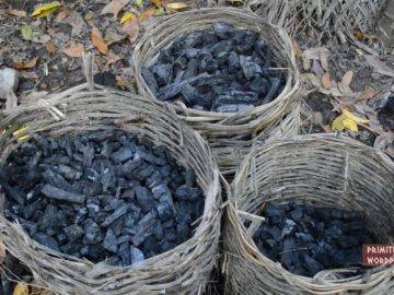 Primitive Technology: Charcoal