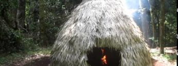 Primitive Technology: Firesticks