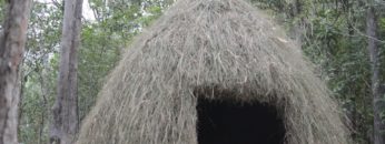 Primitive Technology: Grass hut