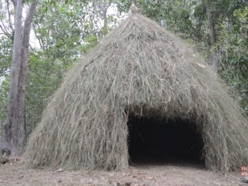Primitive Technology: Grass hut