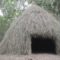 Primitive Technology: Grass hut