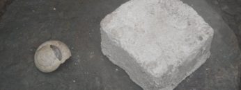 Primitive Technology: Lime