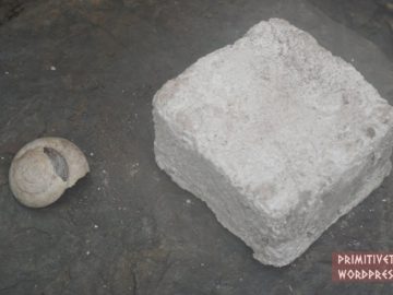 Primitive Technology: Lime