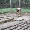 Primitive Technology: Mud Bricks