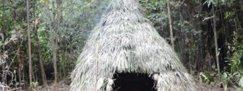 Primitive Technology: New area starting from scratch