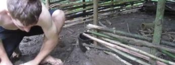 Primitive Technology: Palm Thatched Mud Hut