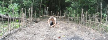 Primitive Technology: Planting Cassava and Yams