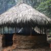 Primitive Technology: Round hut