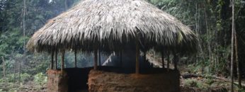 Primitive Technology: Round hut
