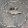 Primitive Technology: Sling