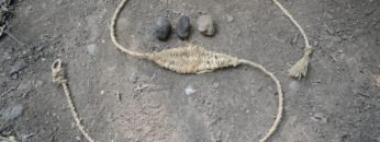 Primitive Technology: Sling