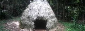 Primitive Technology: Thatched Dome Hut