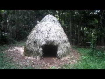 Primitive Technology: Thatched Dome Hut