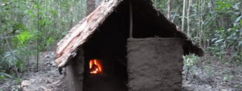 Primitive Technology: Wattle and Daub Hut