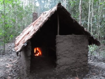 Primitive Technology: Wattle and Daub Hut