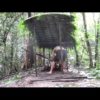Primitive Technology: Wood shed and Native bee honey