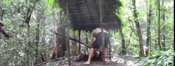 Primitive Technology: Wood shed and Native bee honey