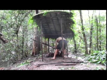 Primitive Technology: Wood shed and Native bee honey