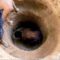 Primitive Tool : searching for groundwater