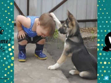 TRY NOT TO LAUGH or GRIN – Funny Kids Fails Compilation 2016 Part 9 by Life Awesome