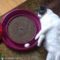 Fat Cat play with ball
