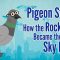 Why Does Everyone Hate Pigeons?