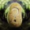 The Potato Paradox