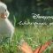 Disneyland Paris – The little duck